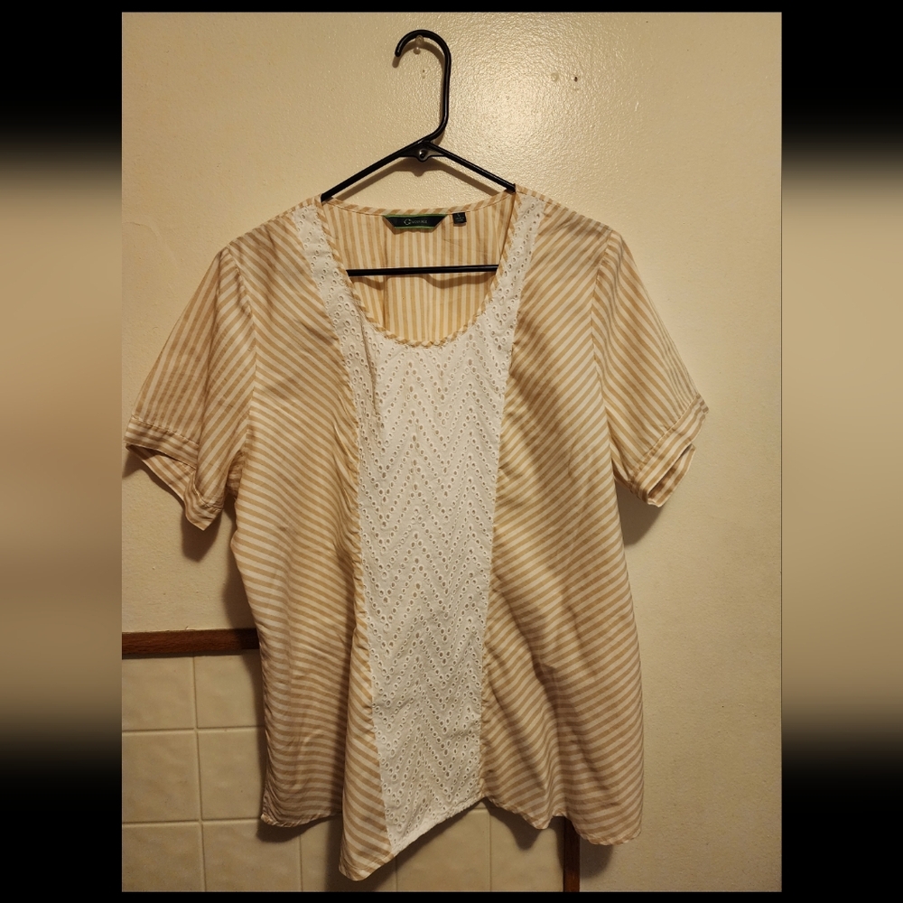 *Tan Striped Top